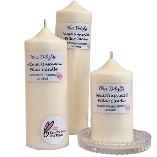 Trio of Unscented Soy Pillar Candles | Plastic Free Company, Eco-Friendly, Cruelty Free & Vegan Soy Wax Candles, Natural Candle (Set of 3)