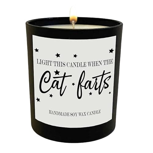 Wanky Candles Funny Cat Owner Candle Light This When The Cat Farts