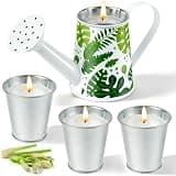 Citronella Candle Outdoor, 4 Pack