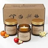 Pumpkin Cinnamon & Apple Cinnamon & Vanilla Soy Candle, 3.5oz