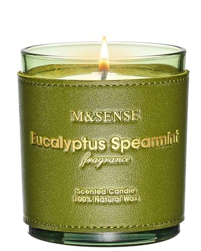 M&SENSE Eucalyptus Mint Oragnic Strong Scented Candles Gifts for Men 280g 42H Special Design Leather Candle Gifts for Women Vegan Soy Aromatherapy Candle for Stress Relief Relaxing Cosy Time