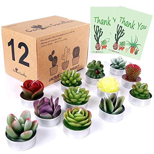 AIXIANG 12-Piece Succulent Cactus Tealight Candle Gift Set